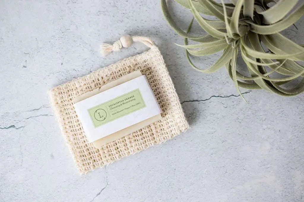Christmas gift basket with eucalyptus soap on a soap saver beside a plant.